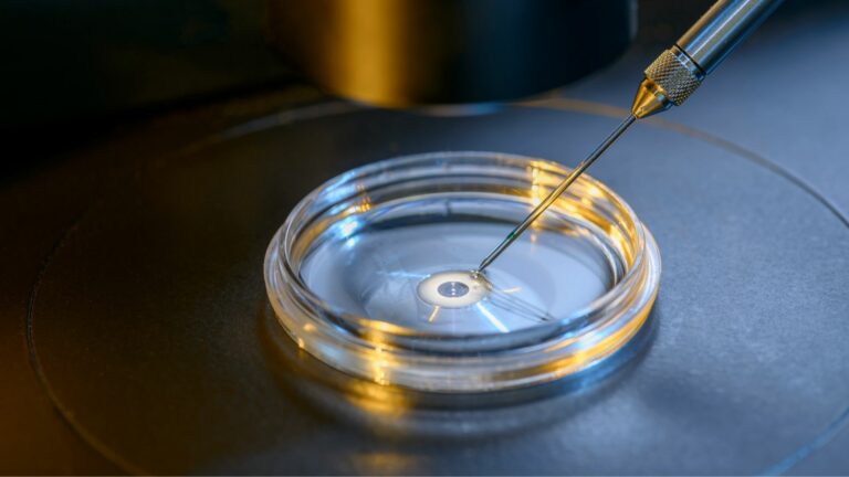 Embracing IVF: Understanding the Steps and What to Expect