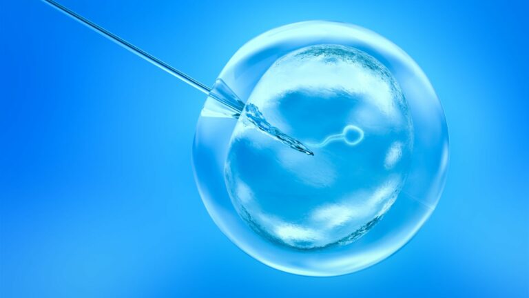 How to Increase IVF Success: A Holistic Guide to Optimizing Your Chances