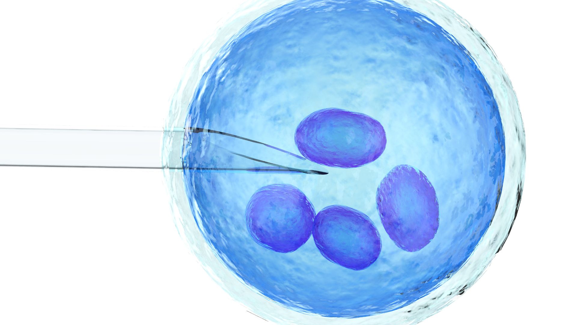 IVF Support Groups in India