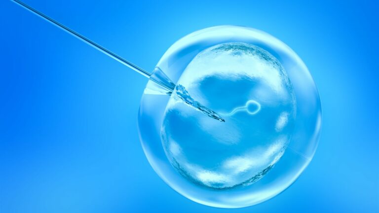 Mini IVF