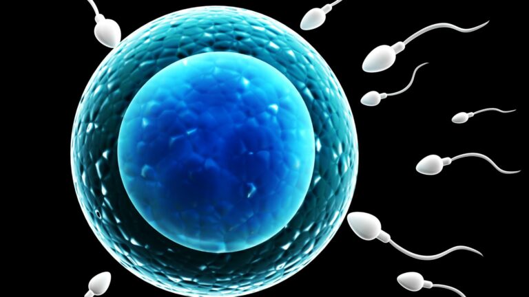 Boosting Sperm Health for IVF Success: The Essential Guide to Diet and Lifestyle