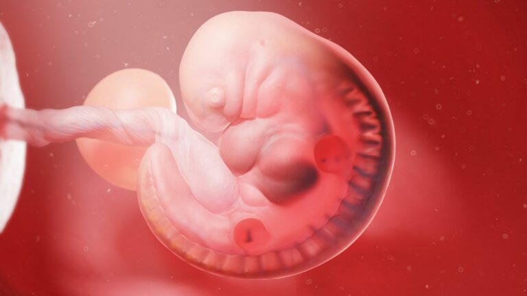 Consider Donor Embryos
