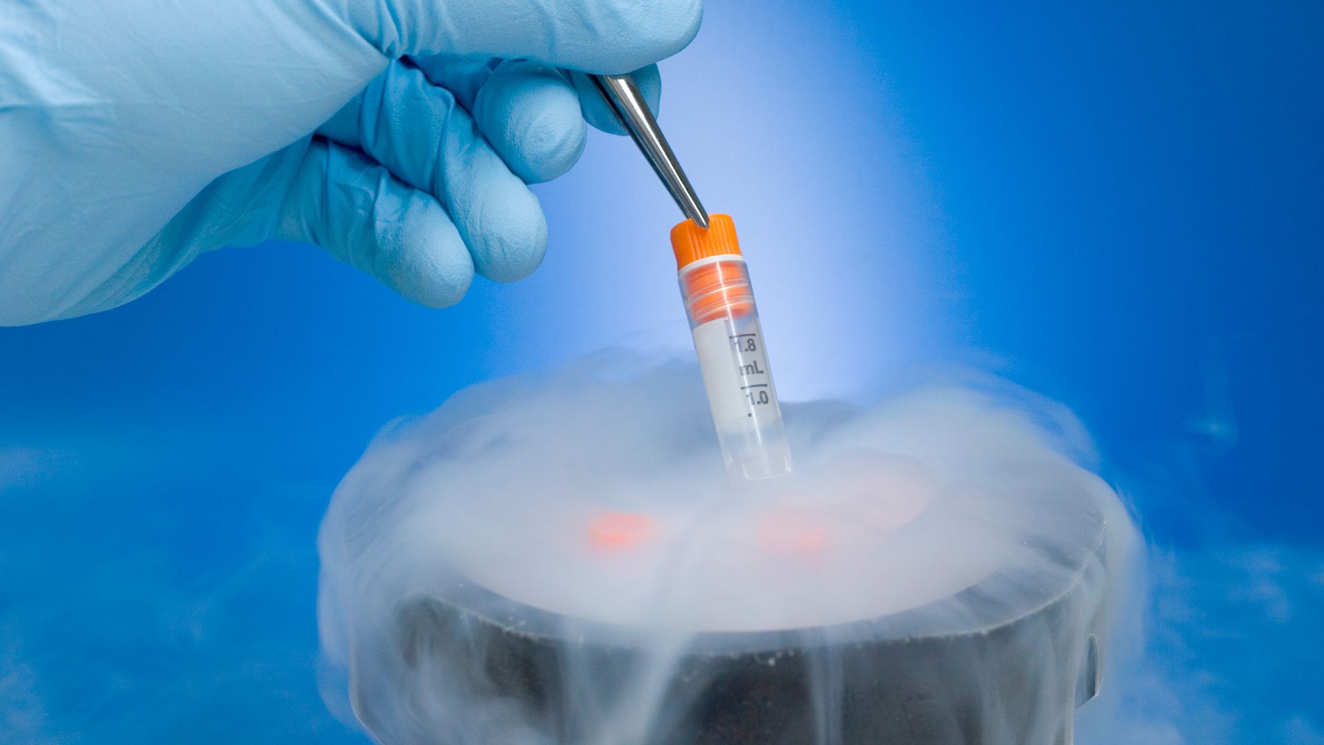 Embryo Cryopreservation Decision-Making