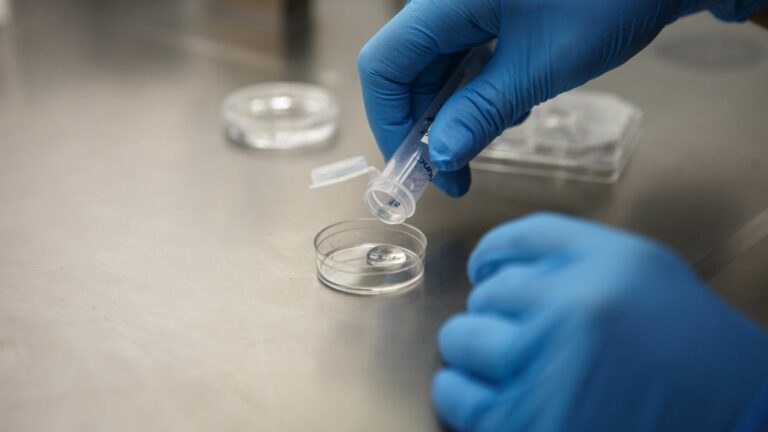 Ethical Dimensions of IVF Advancements in India